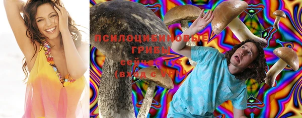 стаф Балабаново
